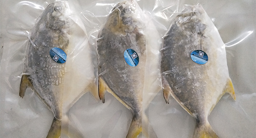 Brunei seafood processing